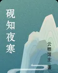 硯知夜寒 封面