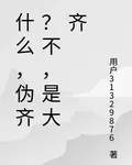 什麼，僞齊？不，是大齊 封面