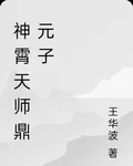 神霄天師鼎元子 封面
