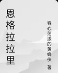 恩格拉拉里 封面