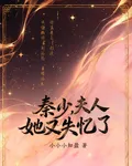 秦少，夫人她又失憶了 封面