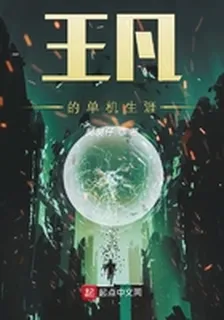 王凡的單機生涯 封面