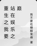 重生之我要站在娛樂之巔 封面