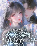 瘋批大佬你先別瘋，我還有一計 封面