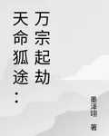 天命狐途：萬宗起劫 封面