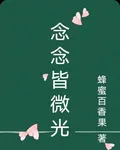 念念皆微光 封面