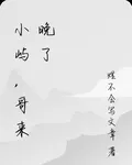 小嶼，哥來晚了 封面