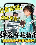 彈幕穿越指南 封面