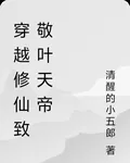 穿越修仙致敬葉天帝 封面