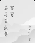 如何爲寂靜命名 封面
