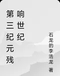 第三紀元殘響世紀 封面