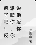 瘋了吧！反派瞪你，你說他愛你 封面