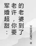 軍婚超甜：老許，你要的老婆到了 封面