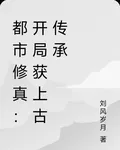 都市修真：開局獲上古傳承 封面
