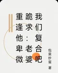重逢他卑微跪求：老婆我們複合吧 封面