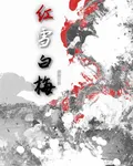 紅雪白梅 封面