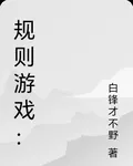 規則遊戲： 封面