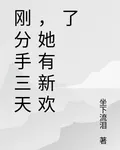 剛分手三天，她有新歡了 封面