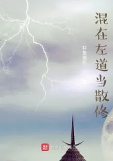 混在左道當散修 封面