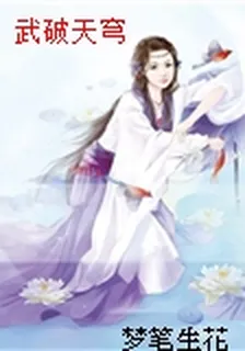 武破天穹 封面