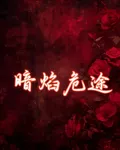 暗焰危途 封面