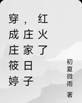 穿成莊筱婷，莊家日子紅火了 封面