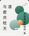 與君共枕天涯 封面