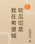 我在希望城砍瓜切菜 封面