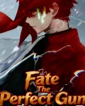 Fate完美之槍 封面