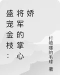 盛寵金枝：將軍的掌心嬌 封面