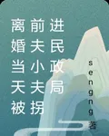離婚當天被前夫小夫拐進民政局 封面
