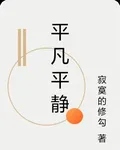 平凡平靜 封面