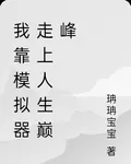 我靠模擬器走上人生巔峯 封面