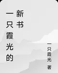 一隻霞光的新書 封面