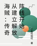 海賊：傳奇從建立解放陣線開始 封面