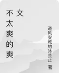 不太爽的爽文 封面