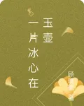 一片冰心在玉壺 封面