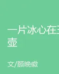 一片冰心在玉壺 封面