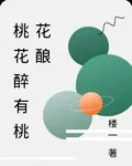 桃花醉有桃花釀 封面