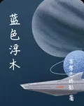 藍色浮木 封面