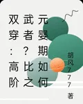 雙穿：高階武者？比之元嬰期如何 封面