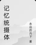 記憶統攝體 封面