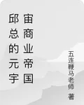 邱總的元宇宙商業帝國 封面