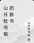 山月枕書眠的新書 封面