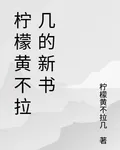 檸檬黃不拉幾的新書 封面