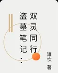 盜墓筆記：雙靈同行 封面