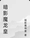 暗影魔龍皇 封面