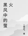 黑風中的螢火 封面