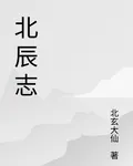 北辰志 封面