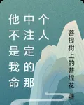 他不是我命中註定的那個人 封面